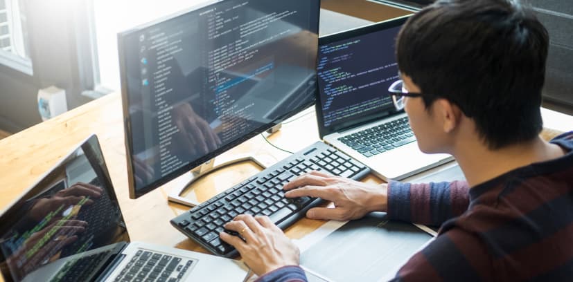 Web Design & Development